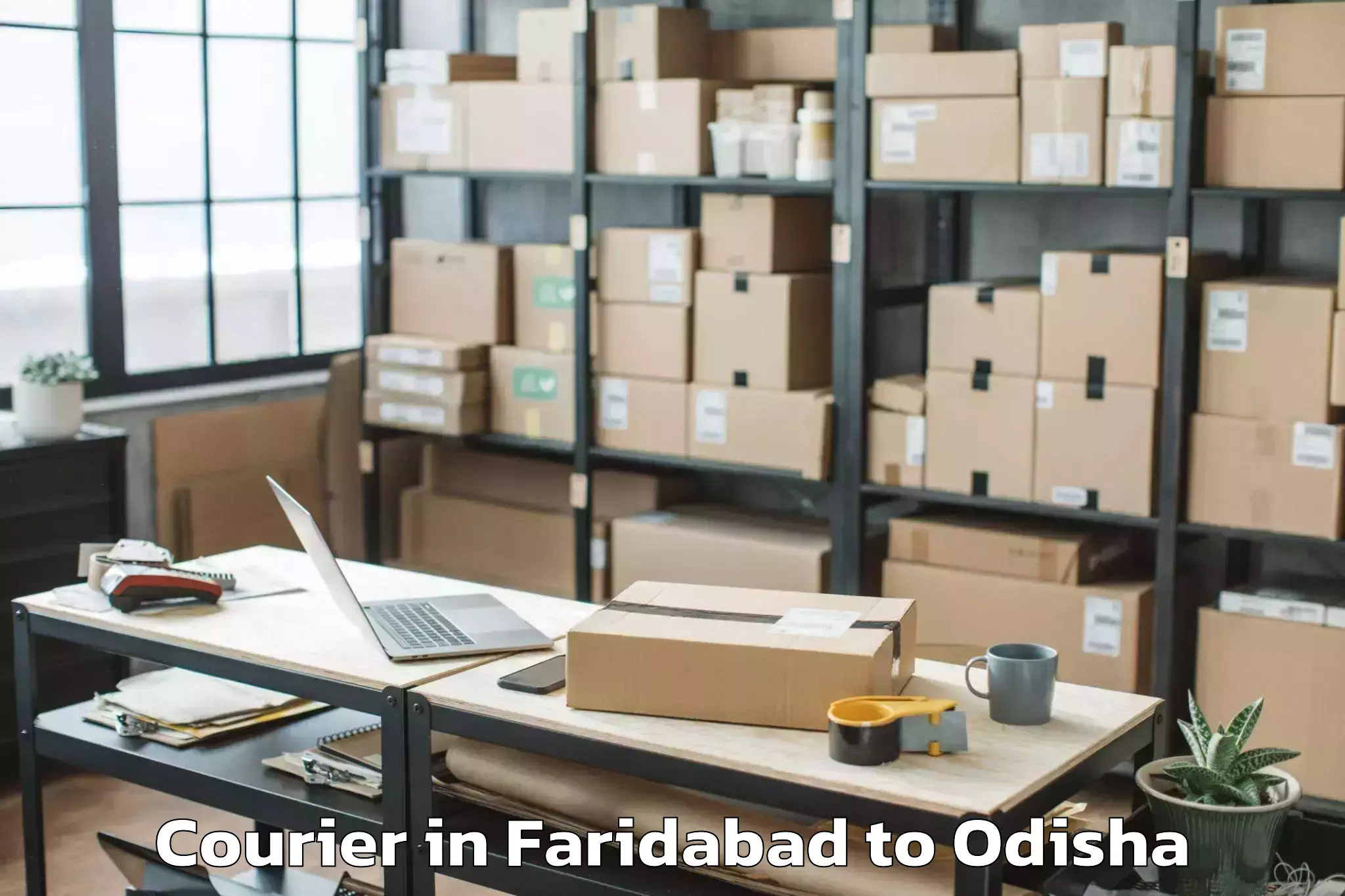 Book Faridabad to Baisinga Courier Online